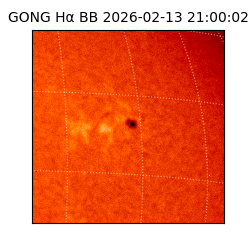 gong - 2026-02-13T21:00:02