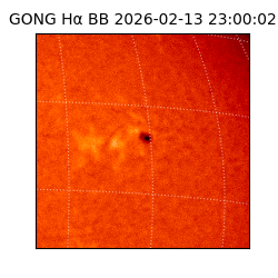 gong - 2026-02-13T23:00:02