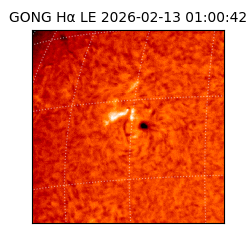 gong - 2026-02-13T01:00:42