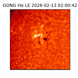 gong - 2026-02-13T02:00:42