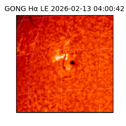 gong - 2026-02-13T04:00:42