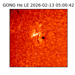 gong - 2026-02-13T05:00:42