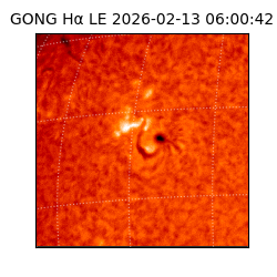 gong - 2026-02-13T06:00:42