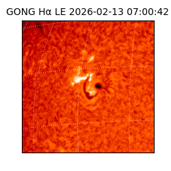 gong - 2026-02-13T07:00:42