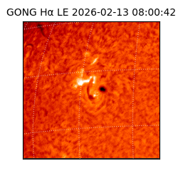 gong - 2026-02-13T08:00:42