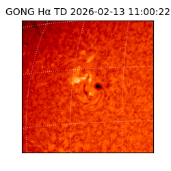 gong - 2026-02-13T11:00:22