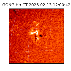 gong - 2026-02-13T12:00:42