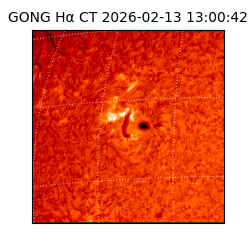 gong - 2026-02-13T13:00:42