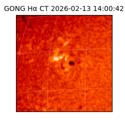 gong - 2026-02-13T14:00:42