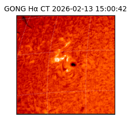 gong - 2026-02-13T15:00:42