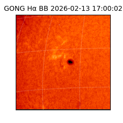 gong - 2026-02-13T17:00:02