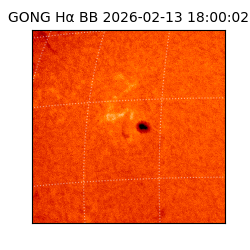 gong - 2026-02-13T18:00:02