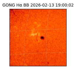 gong - 2026-02-13T19:00:02