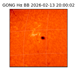 gong - 2026-02-13T20:00:02