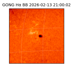 gong - 2026-02-13T21:00:02