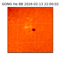 gong - 2026-02-13T22:00:02