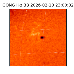 gong - 2026-02-13T23:00:02