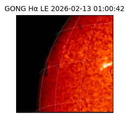 gong - 2026-02-13T01:00:42