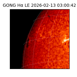 gong - 2026-02-13T03:00:42