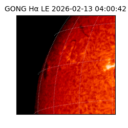 gong - 2026-02-13T04:00:42