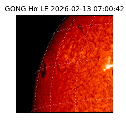 gong - 2026-02-13T07:00:42