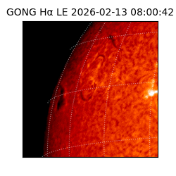 gong - 2026-02-13T08:00:42