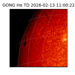 gong - 2026-02-13T11:00:22