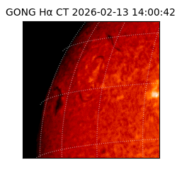 gong - 2026-02-13T14:00:42