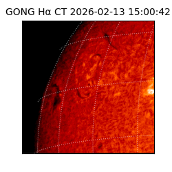 gong - 2026-02-13T15:00:42