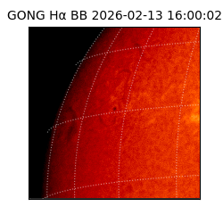 gong - 2026-02-13T16:00:02