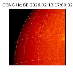 gong - 2026-02-13T17:00:02