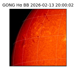gong - 2026-02-13T20:00:02