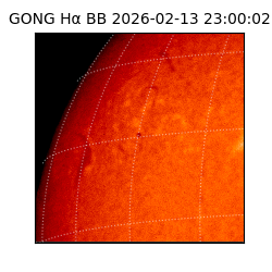 gong - 2026-02-13T23:00:02