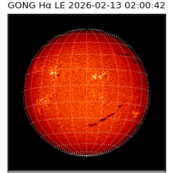 gong - 2026-02-13T02:00:42