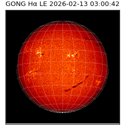 gong - 2026-02-13T03:00:42