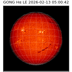 gong - 2026-02-13T05:00:42