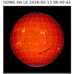 gong - 2026-02-13T06:00:42