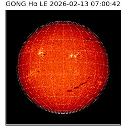 gong - 2026-02-13T07:00:42