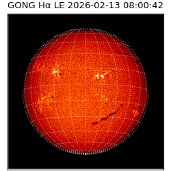 gong - 2026-02-13T08:00:42