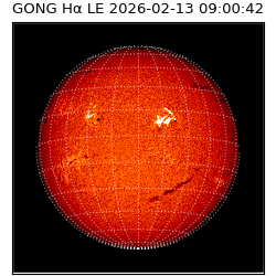 gong - 2026-02-13T09:00:42