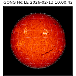 gong - 2026-02-13T10:00:42