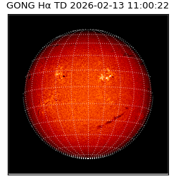 gong - 2026-02-13T11:00:22
