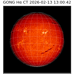 gong - 2026-02-13T13:00:42