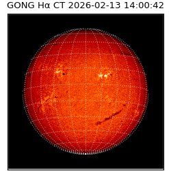 gong - 2026-02-13T14:00:42