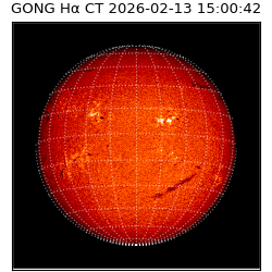 gong - 2026-02-13T15:00:42