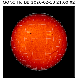 gong - 2026-02-13T21:00:02