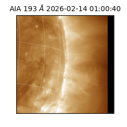 saia - 2026-02-14T01:00:40.835000