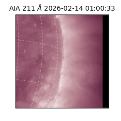 saia - 2026-02-14T01:00:33.630000