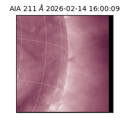 saia - 2026-02-14T16:00:09.622000