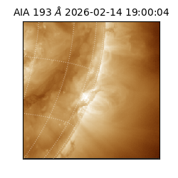 saia - 2026-02-14T19:00:04.843000